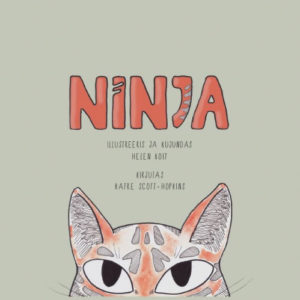Lasteraamat – Kass Ninja